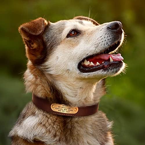 Prilagođeni kožni ovratnik za pse i povodac set sa natpisom podesivim personaliziranim podstavljenim pasama za srednje, velike i male