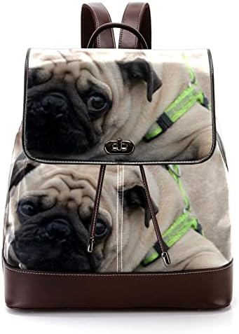 VBFOFBV putni ruksak, backpack laptop za žene muškarci, modni ruksak, pug lovele životinjski kućni ljubimac