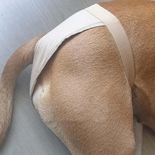 HonpraD ženski pas za višekratnu upotrebu perive fiziološke sanitarne pantalone za umotavanje donjeg veša za male srednje i velike pse
