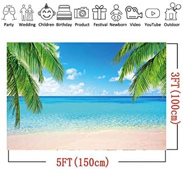 Ljetna tropska plaža tema foto pozadine 5X3FT morski okean palmin list pijesak plaža plavo nebo Bijelo Havaji fotografija pozadine