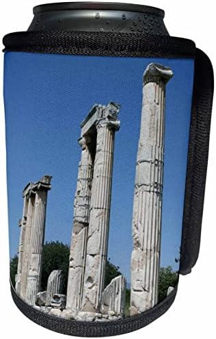 3droze hram afrodite ruševine Afrodisias Turkiye - može li hladnija boca