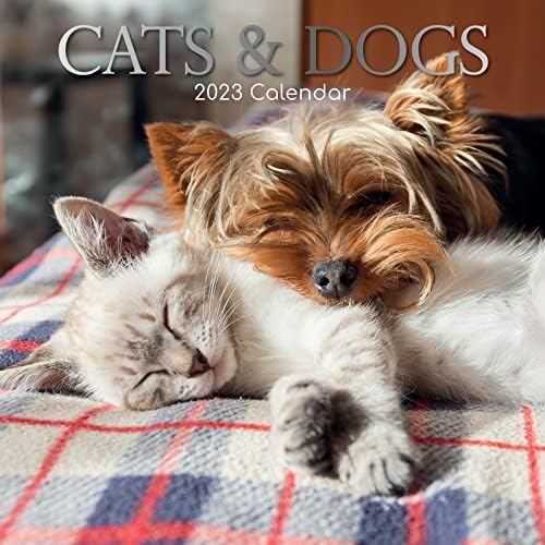 2023 Kvadratni zidni kalendar, mačke i psi, 16-mjesečna tema za životinje sa 180 naljepnica