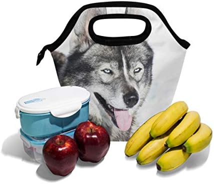HEOEH Huskie pas smiješna torba za ručak sa životinjama Cooler tote torba izolovane kutije za ručak sa patentnim zatvaračem torba za školski ured na otvorenom