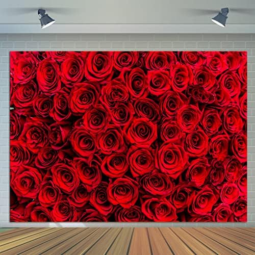 8x6ft Crvena ruža cvjetni zid fotografija pozadine Valentinovo fotografija pozadina vjenčanje Svadbeni ukras za tuširanje Photo Studio
