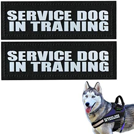 Homiego servisni pas u Flasterima za obuku prsluka 2 paket zakrpa za pse čičak i omča s obje strane uklonjivi reflektirajući sjaj u tamnoj noći radni flaster za ovratnik i povodac za pse
