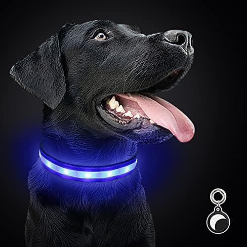 AUBELL Svijetli ogrlice za pse, do 1500 metara vidljivosti, Rfflective šarene LED ovratnik za pse punjivo vodootporan za noćno hodanje,