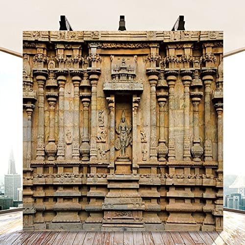 Aofoto 10x8ft Hindu hram rezbareni zidovi pozadina Thanjavur drevni Stari Brihadishvara hram stubovi isklesani idoli na zidnoj pozadini za fotografiju Travel Photo Studio rekviziti vinil