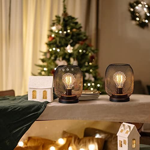DECORKEY Set od 2 lampe na baterije LED stolna lampa, metalne kavezne akumulatorske lampe sa LED sijalicom, ovalna Vintage dekorativna