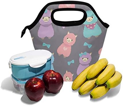 Izolovana torba za ručak zamrznuta kutija za ručak za djecu žene djevojčice dječaci i muškarci, šarena alpaka Cooler Prijenosna torba za ručak sa patentnim zatvaračem za piknik u radnoj školi