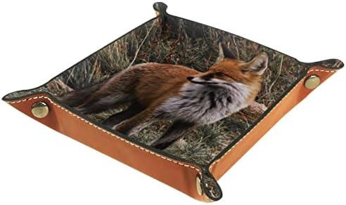 TACAMENG životinjska lisica crvena, kutije za odlaganje male kožne posude za slatkiše za slatkiše za bombone za ključeve, telefon,