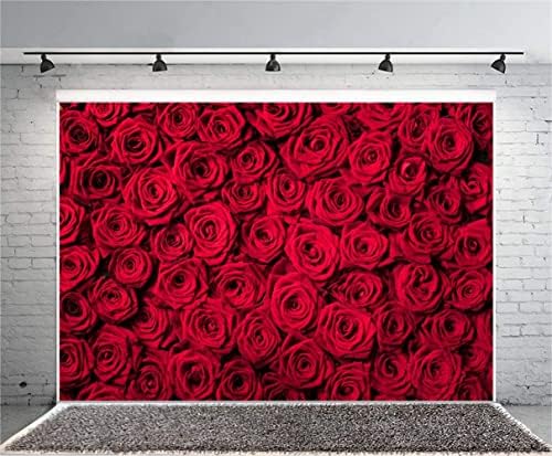 Laeacco 10x8ft Crvena ruža pozadina cvijeće ruža zid pozadina Valentinovo pozadina vjenčanje photo Booth djevojke rođendan ukras svadbeni tuš Party banner Lovers portreti Video rekviziti Wallpaper