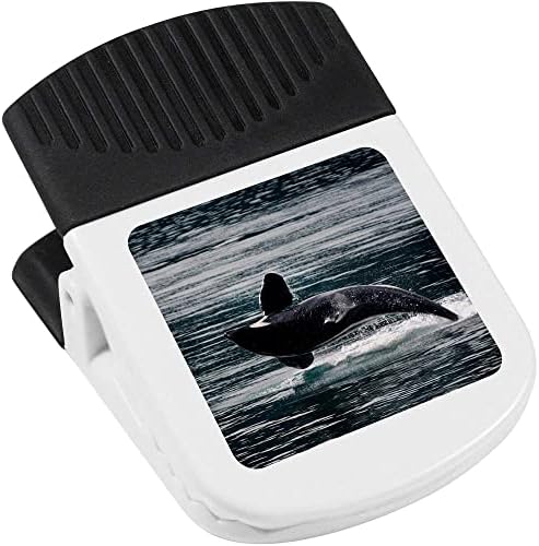 Azeeda 'Orca Whale' magnetni isječak