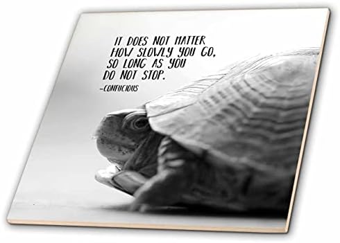 3dRose crno-bijela makro fotografija kornjače sa citatom Konfucijusa. - Pločice.