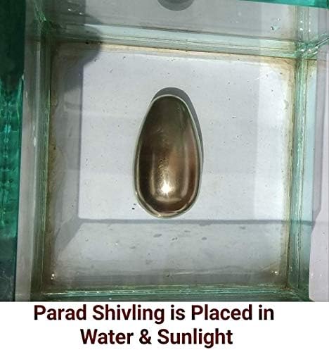 Mahabandh ovalni oblik parada shivling 200 grama