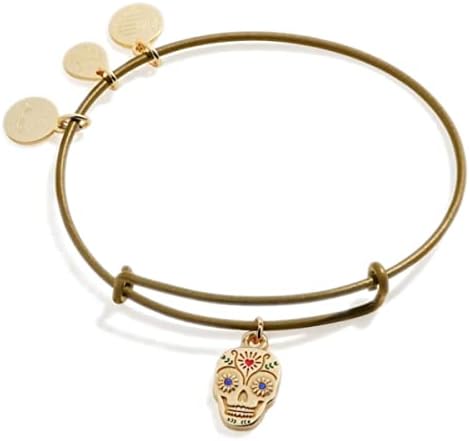 Alex i Ani simboli i žetoni proširivi Bangle za žene, Calavera Charm, sjajna zlatna zlatna završna obrada, 2 do 3,5 in