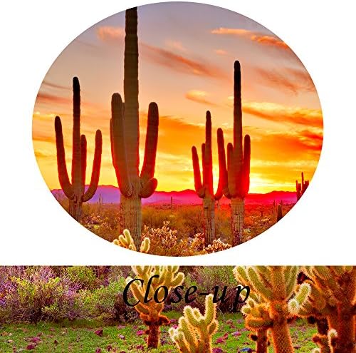 Kreative Arts-Colorfull Sunset sa Saguaros pejzaž platnu zid Art Sonoran pustinja Galerija slika umotan Botanički kaktus u Arizoni