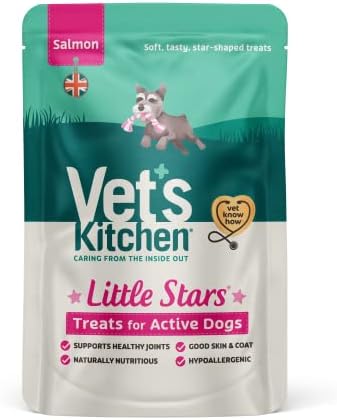 VET's Kitchen Mali zvijezde Pas liječi aktivno + losos 85g