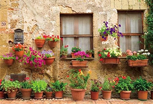 šensu vinil 10x8ft fotografija pozadina italijanski pastoralni grad prozor ulice saksijama biljke cvijeće fotografija pozadine novorođene