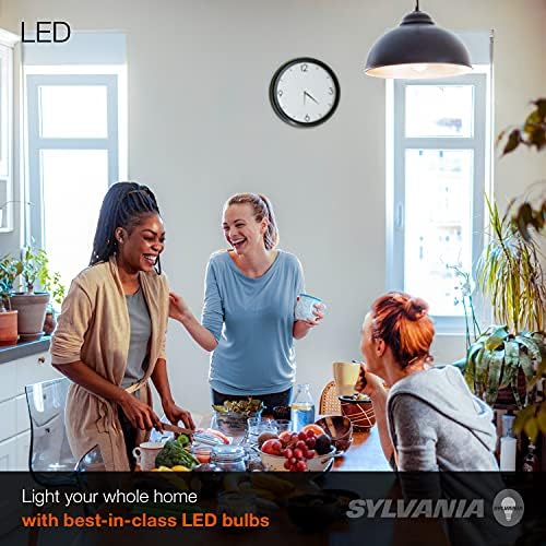 SYLVANIA LED sijalica, 100w ekvivalent A19, efikasna 14W, Srednja baza, matirana završna obrada, 1500 lumena, dnevna svjetlost-1 pakovanje