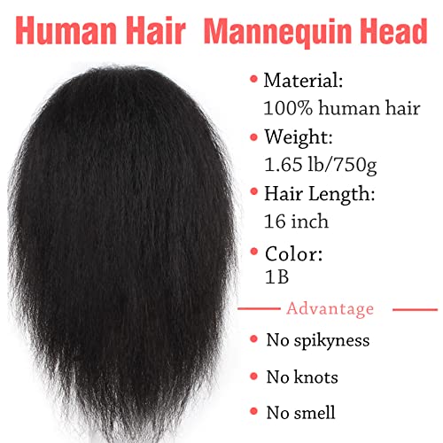 Unionbeauty Mannequin glava sa frizerom za ljudsku kosu trening glava Manikin Kozmetologija 16-inčna Yaki glava za kosu sa stezaljkom