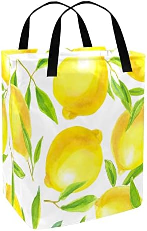 Citrusno voće Žuti limunski Print sklopiva korpa za veš, 60L vodootporne korpe za veš kante za veš igračke skladište za spavaonicu u kupatilu
