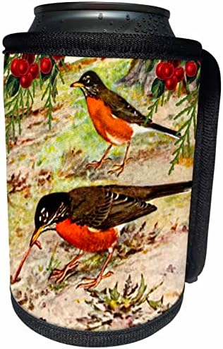 3Droza Vintage Bird Art American Robin hvata crva - Robins. - Može li se hladnije flash omotati
