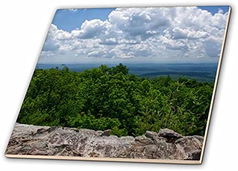 3drose pogled gleda na istok fotografiran na vrhu crne planine u Tennesseeju. - Pločice.