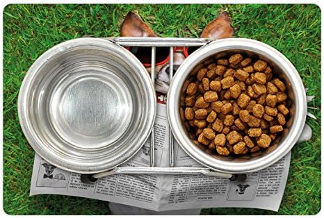 Lunarable Funny prostirka za kućne ljubimce za hranu i vodu, novine za čitanje pasa i opuštanje na travi u parku tema intelektualnog