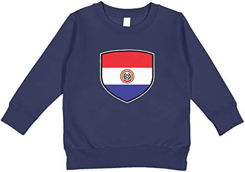 Amdesco Paraguay Shield Paraguayan Flag Dukserica