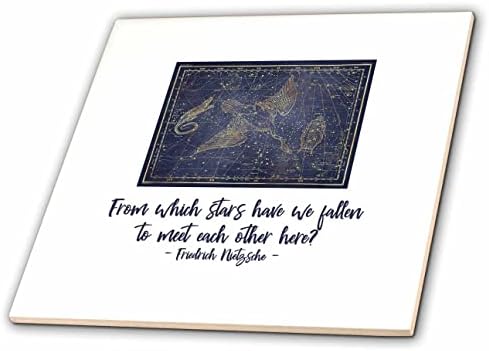 3drose Vintage karta Cygnus constellation. Friedrich Nietzsche quote-Tiles