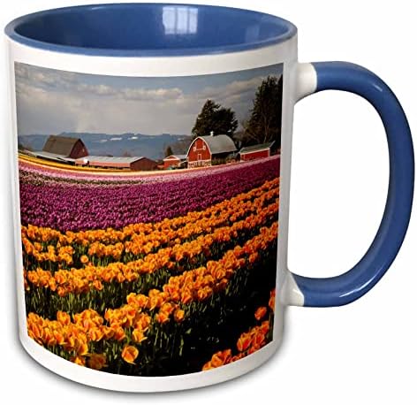 3DROSE WA, Skagit Valley, Lala Farm in Bloom-Us48 Jwi2852-Jamie and Judy Wild Ceramic Mug, 11 oz, Bijela