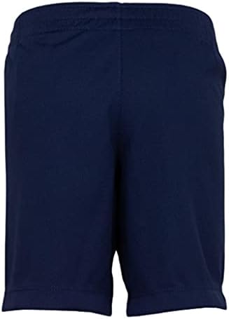 Nike Kids Boy's Dri-Fit Logo Grafička majica i kratke hlače Dvodijelna set haljina Blues 4 Mala djeca