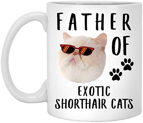 LoveSout smiješan otac egzotičnog kratkodlaka CAT krema zalazak sunca Retro Božić 2023 Pokloni bijela kafa 11oz