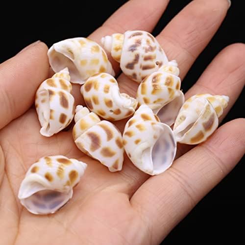 Zotoone prirodne školjke perle višebojne morske perle za izradu DIY zanatskih akvarijskih akvarijskih ukrasa dekoracija Doma... B0B6PQRLRM