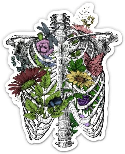 Cvjetni kostur Botany Lijepa naljepnica - 3 Naljepnica za laptop - vodootporni vinil za automobil, telefon, boca za vodu - cvjetni
