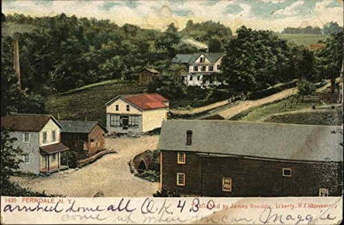 Pogled odozgo Ferndale, New York NY originalna antička razglednica 1907