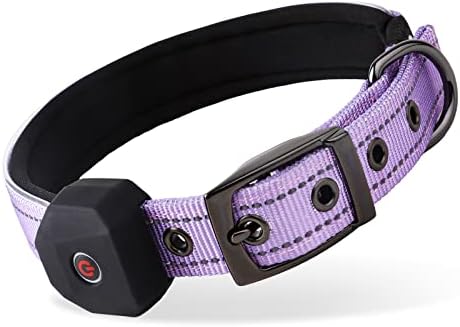 Ogrlica za pse sa punjivom: LED refleksni ovratnik sa USB-om bezbednosti Jednostavna šetnja za male, srednje, velike XL velike pse