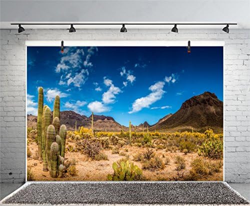 Leyiyi 6x4ft pozadina fotografije Meksiko kaktus pozadina zapadni život pustinjska biljka Saguaro suhi pijesak Grunge Bush planina siromašni ruralni kauboj američko putovanje fotografija portret vinil Studio Video Prop