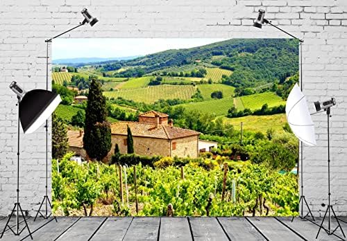 BELECO 10x8ft tkanina italijanski vinograd fotografija pozadina Toskana seoska Farma pejzaž Kamena kuća zelena planinska stabla pozadina