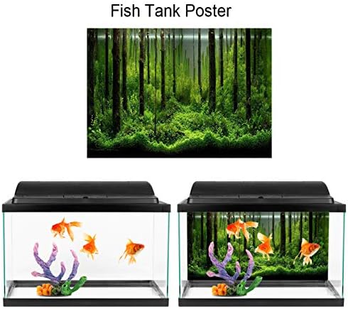 Pozadišta Amonida Aquarium, PVC šareni akvarijumski poster, samoljepljivi zadebljani zadebljani rezervacijski dekoracija rezervoara