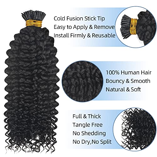 Itip ekstenzije za ljudsku kosu za crne žene Brazilski 4a Kinky Curly Itips Microlinks Hair Human Hair Extensions Natural Black 100 Strands/Pack i-Tips Hair Extensions 12 Inches