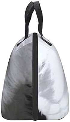 Seijy slatka pas Print prijenosni ručak torba za odlaganje hrane izolovana Cooler piknik Totes Thermal Bento torba