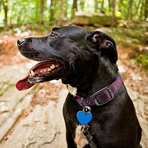 Marmuty Neoprene ovratnik za pse, udobne i podesive reflektirajuće ogrlice za pse za male srednje i velike pse, metalna kopča za kućne