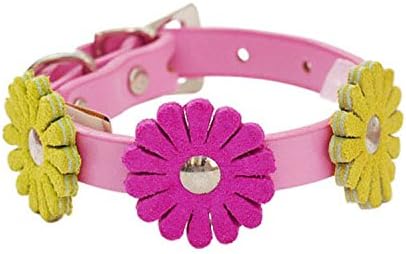 Auburn Leathercrafters ogrlica za pse, koža, boja, ružičasta, cvijeće, direktan uvoz u inozemstvu, dužina: cca. 9,8 inča
