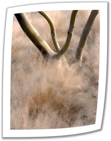 Art Wall Desert Traves 24 sa 18-inčnim odmrtnim platnom umjetnošću Linda Parker sa 2-inčnim naglaskom granicom